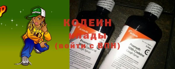 стаф Арсеньев