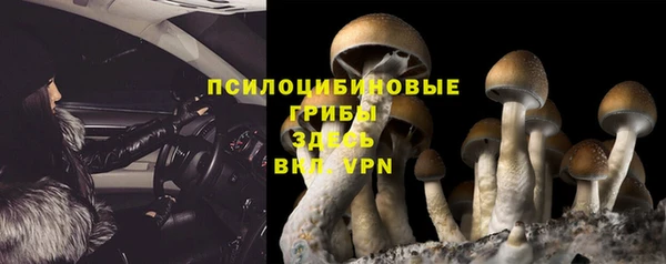 винт Армянск