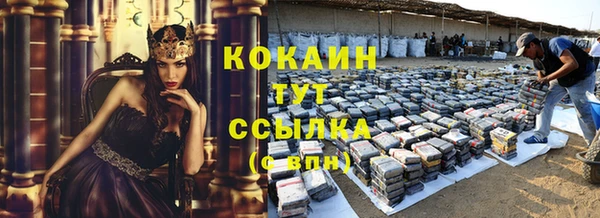 стаф Арсеньев