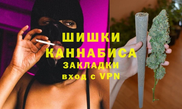 стаф Арсеньев
