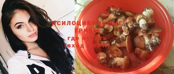 стаф Арсеньев