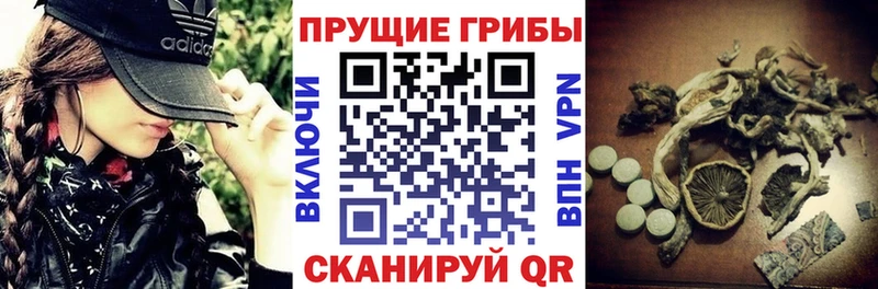 Псилоцибиновые грибы прущие грибы  Весьегонск 